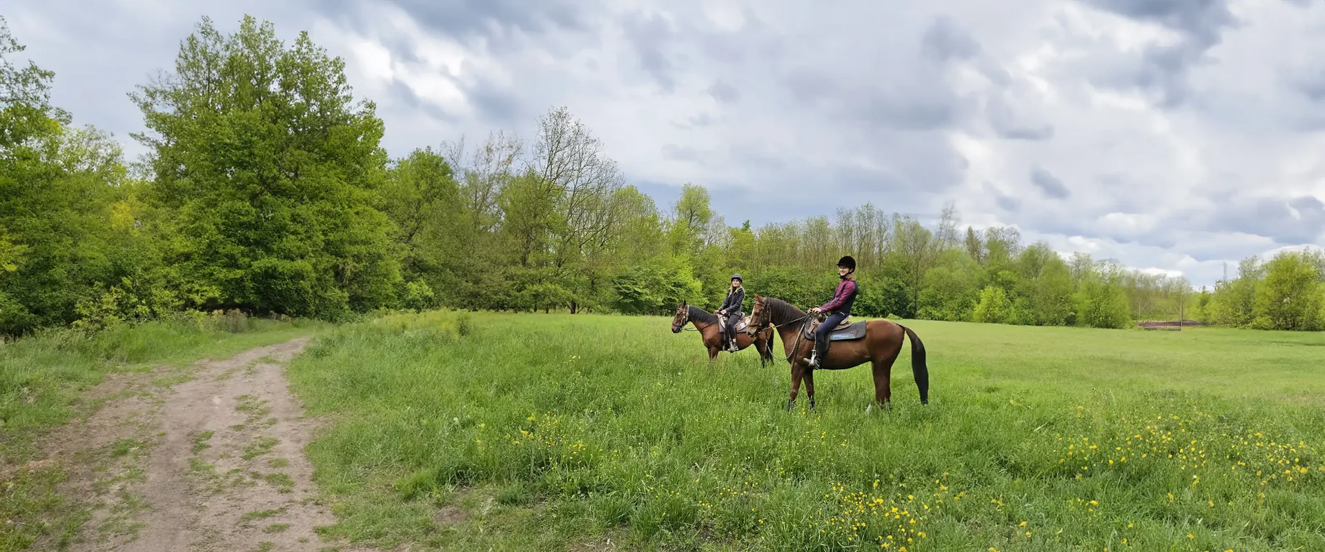 Esperienze picnic e maneggi per escursioni a cavallo — Bergamo (Lombardia)